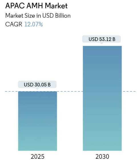APAC AMH Market Size Asia Pacific Automated Material Handling Market Overview